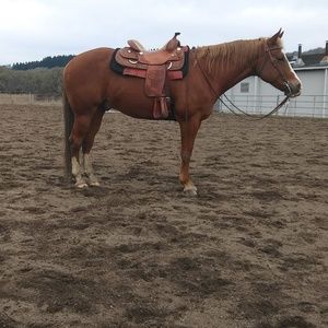 Meet your Posher, Hayley